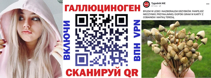 Галлюциногенные грибы GOLDEN TEACHER  Купить где  Одинцово 